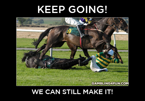 21 Of Our Favourite Horse Memes Of All Time Horse Hound