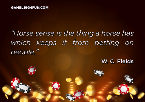 Horse sense