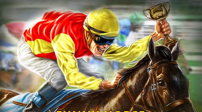 funny horse racing stories
